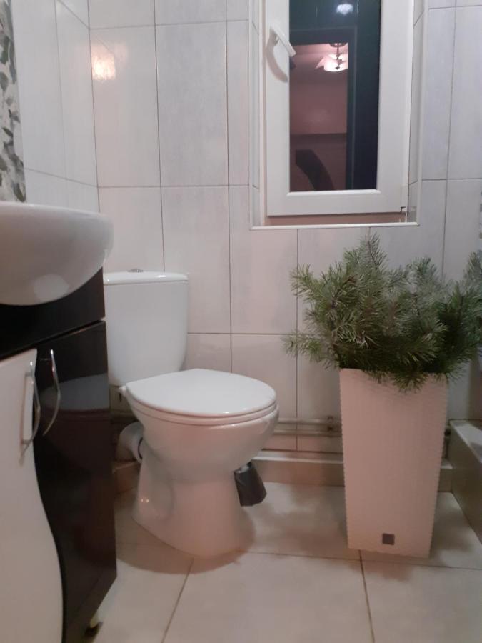 Guest House Viktoria Yaremche Luaran gambar